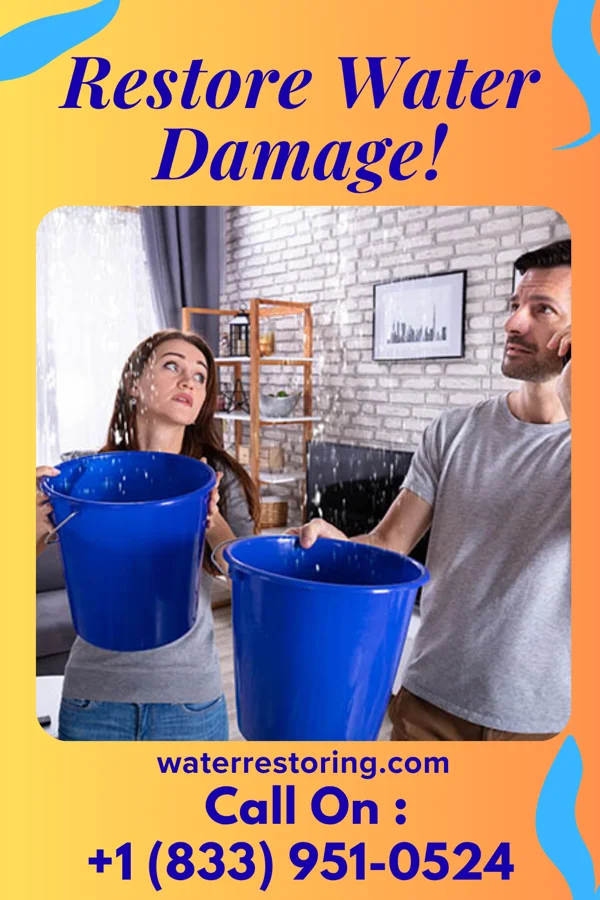 water restoration Total Disaster Cleanup Network McDonough