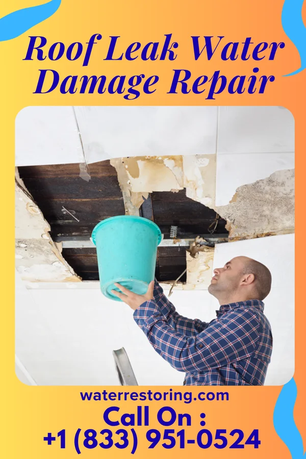 Roof Leak Water Damage Repair in McDonough, GA