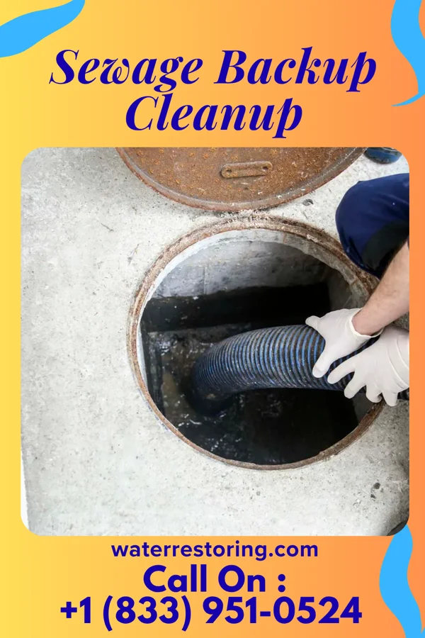 Sewage Backup Cleanup in McDonough, GA