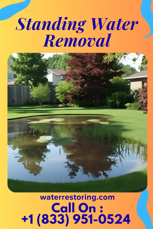 Standing Water Removal in McDonough, GA